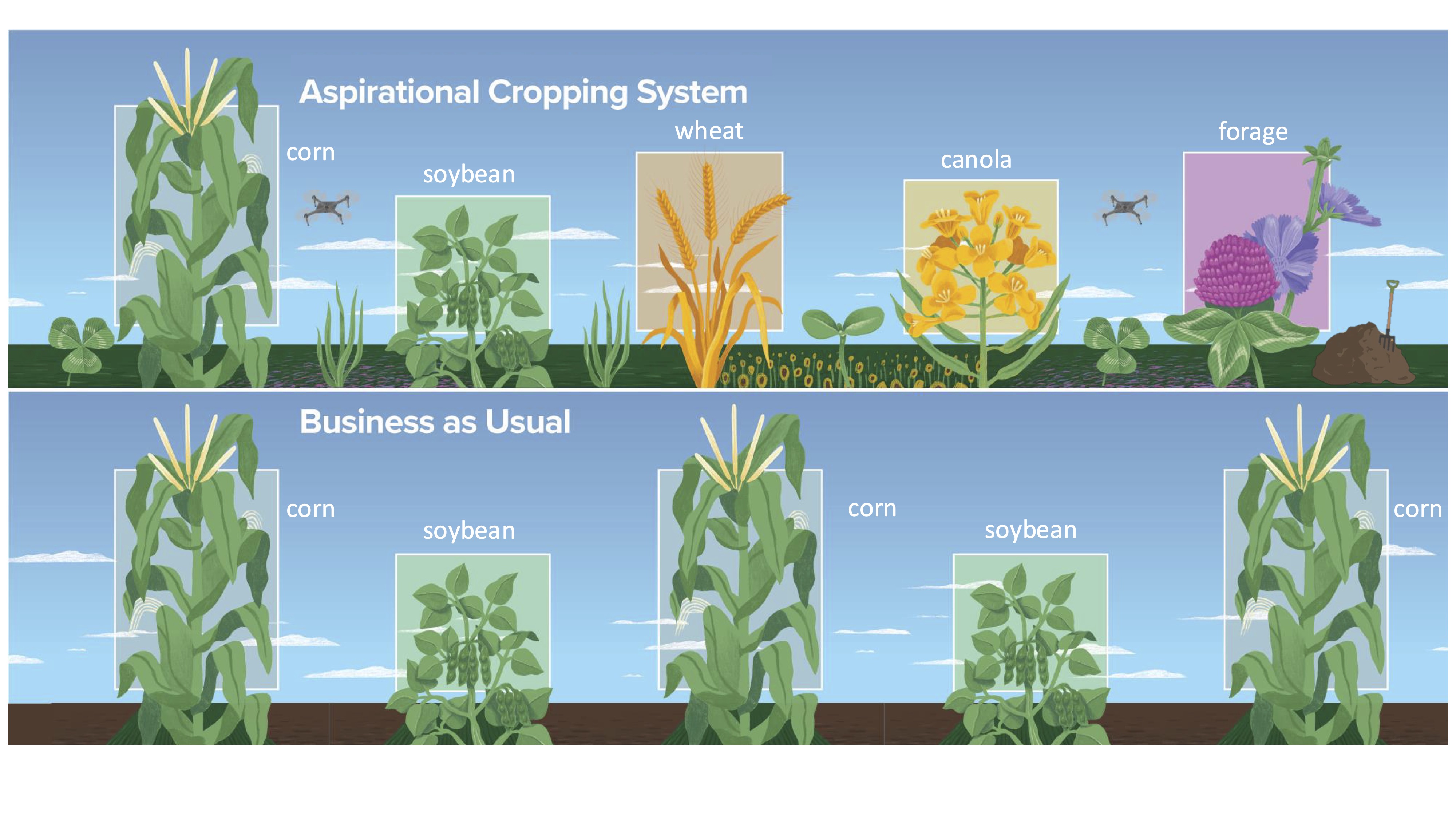 Ltar-finaldraft annotated.jpg